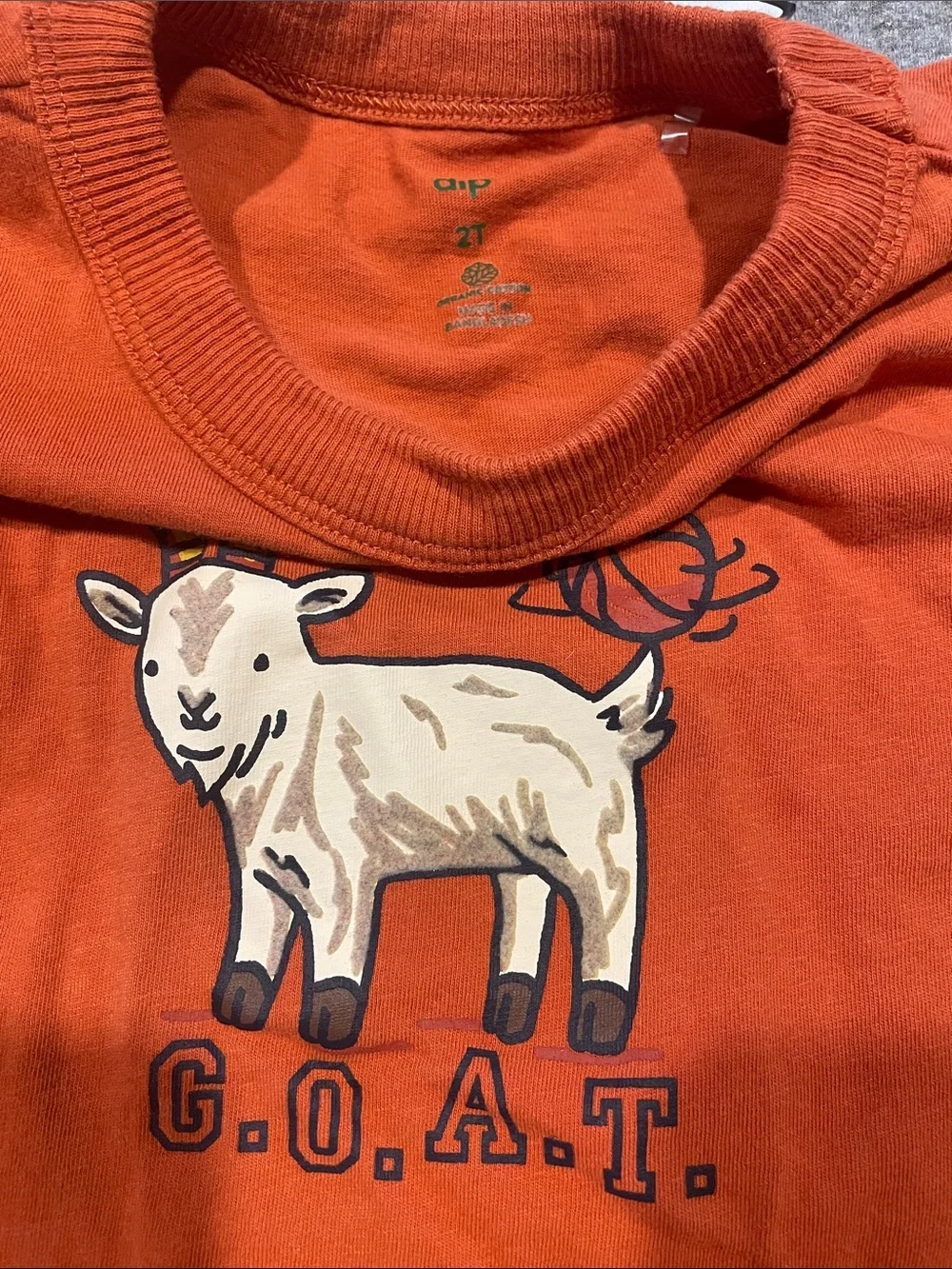 Graphic Tee Bundle 2T